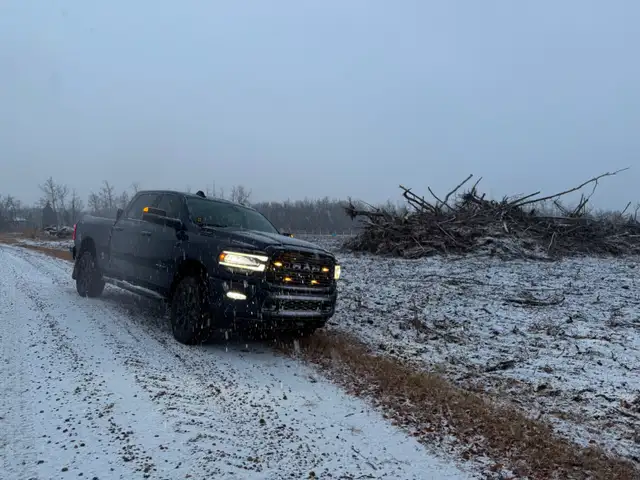 Forestry Mulching - Photo 3