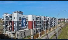 1 bedroom apartment - D’Arcy Heights