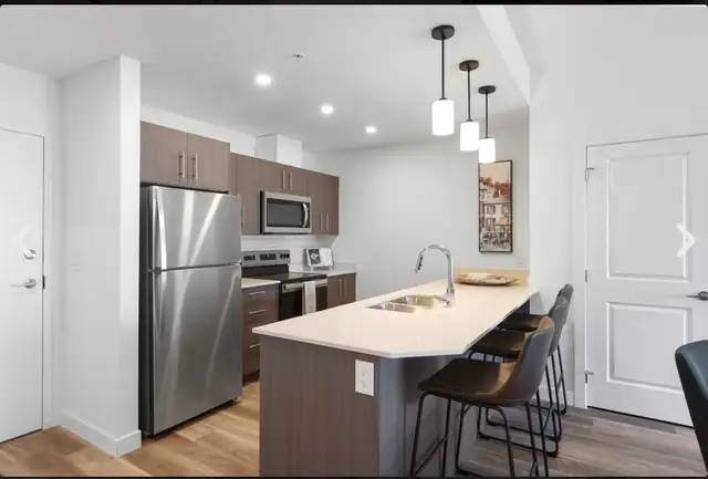 1 bedroom apartment - D’Arcy Heights - Photo 3