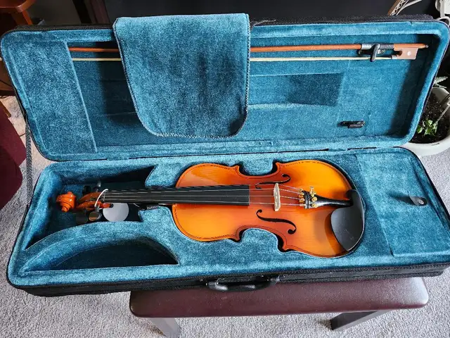 NEW SHARNEL EAGLE VIOLIN PACKAGE