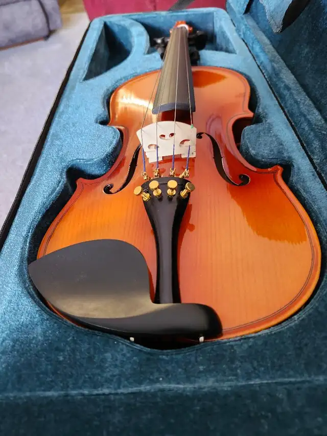 NEW SHARNEL EAGLE VIOLIN PACKAGE - Photo 2