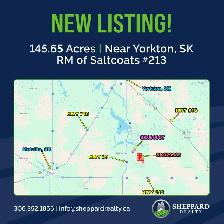 146 Acres | RM of Saltcoats #213 | Near Yorkton, SK