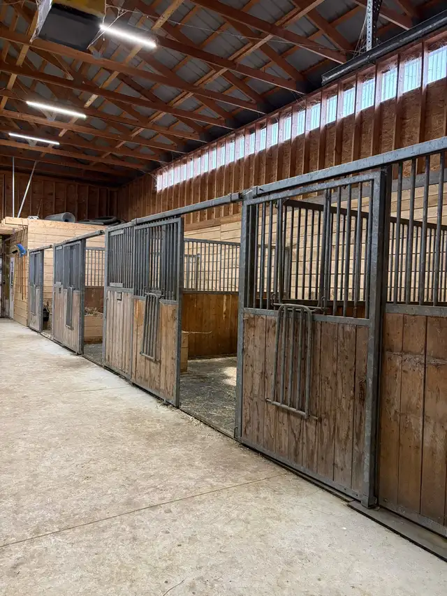 Horse boarding - Photo 2