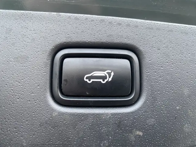 2024 Kia Niro EV Wind - Photo 12