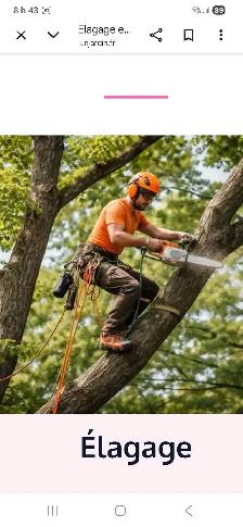 émondage élagage émondeur Bucheron