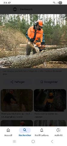 émondage élagage émondeur Bucheron - Photo 3