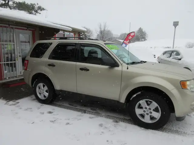 2010 Ford Escape XLT - Photo 5
