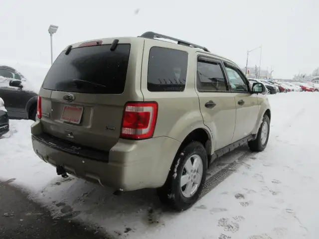 2010 Ford Escape XLT - Photo 6