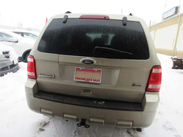 2010 Ford Escape XLT - Photo 8
