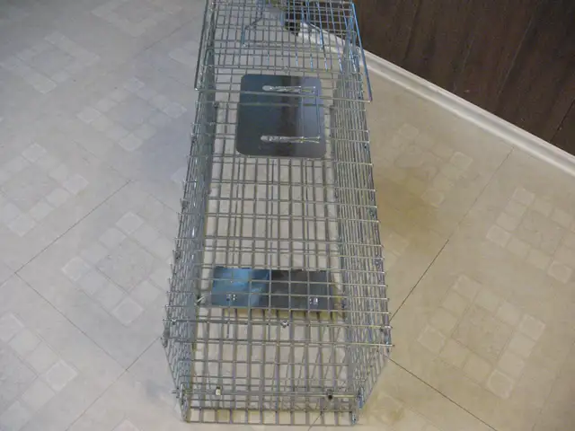Raccoon/Small Animal Trap, BRAND NEW - Photo 10