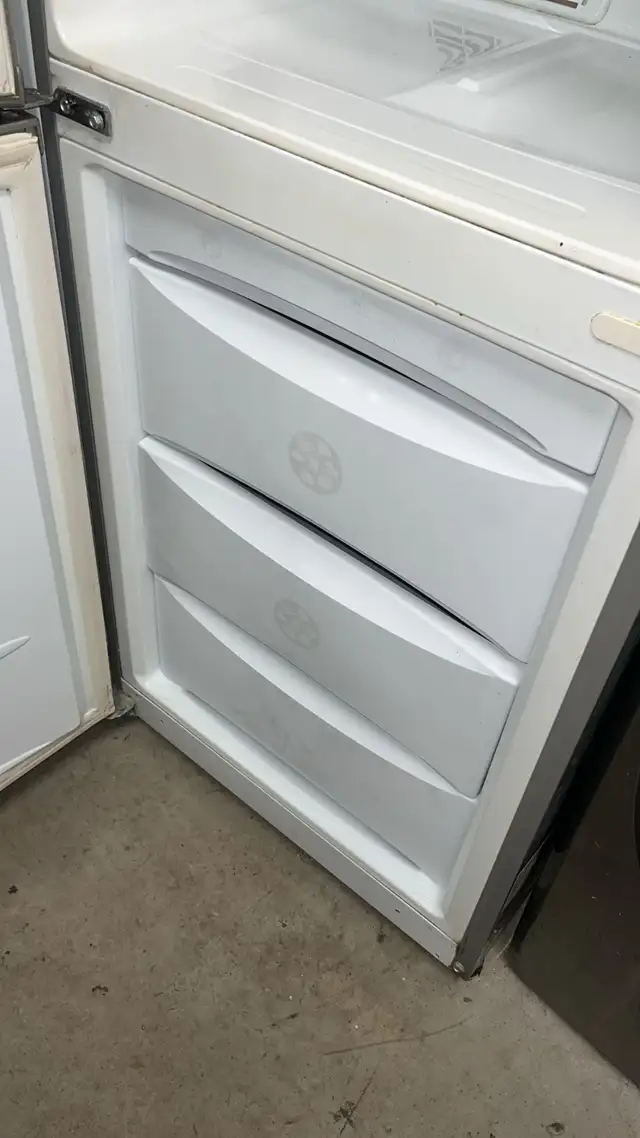 Lg 24" Apartment Size Tall Refrigerator Fully Tested  30-Day - Photo 5