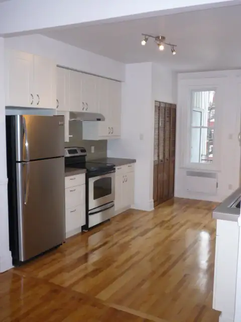 Plateau Mont-Royal, charmant 4 1/2 rénové/renovated - Photo 2