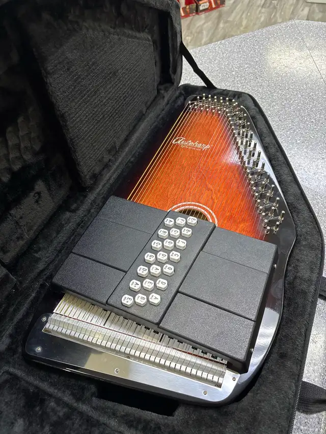 Oscar Schmidt OS21C 21 Cord Classic Autoharp With Case