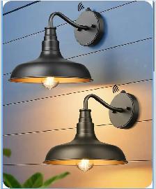 EDISHINE Dusk-to-Dawn Gooseneck Wall Light (2-Pack