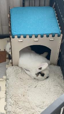 Meet Tinsley! - Photo 2