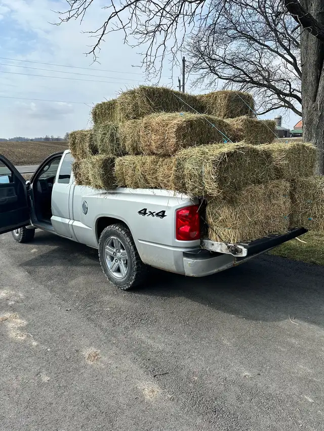 Demolition  / handy man