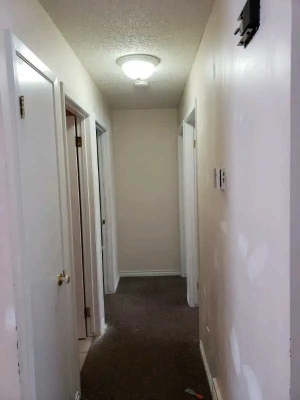 painting services available - Photo 10