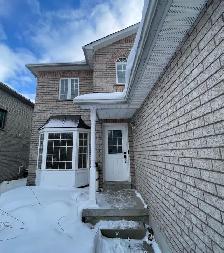 1 Bed/1Bath Basement Apartment | Private Entrance | 2 Parking