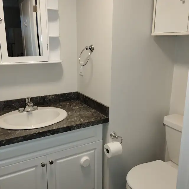 Comfy bright bachelor suite in Caronport - Photo 7