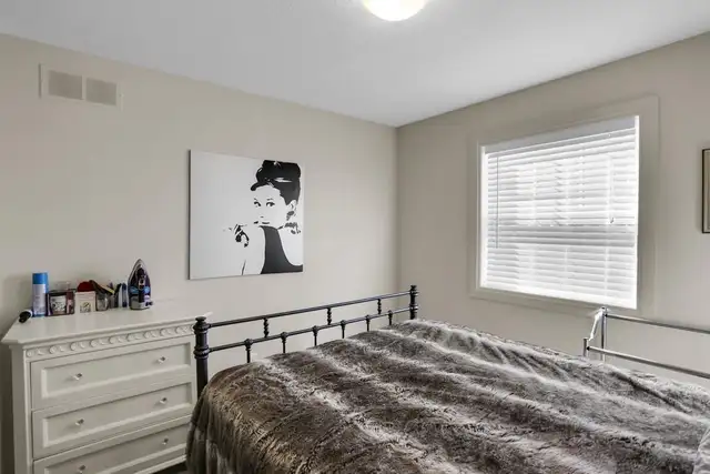 Roommates Wanted - Pet Friendly - Photo 10