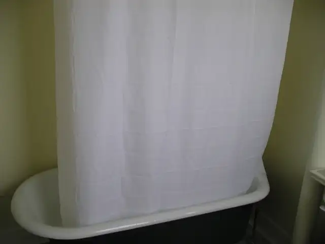 Newly renovated small 1 bedroom and Bachelor apartments - Photo 2