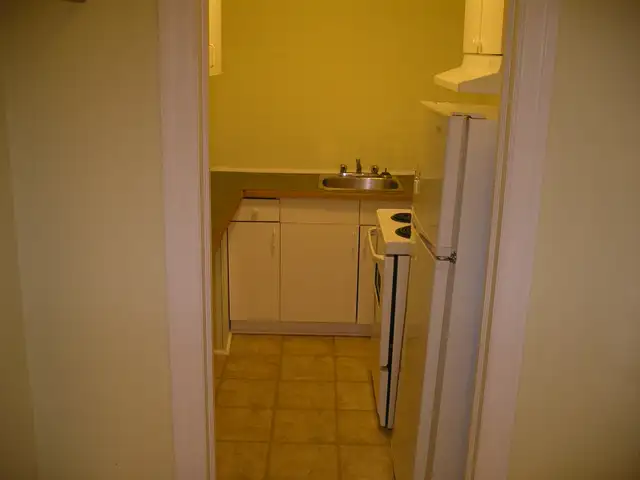 Newly renovated small 1 bedroom and Bachelor apartments - Photo 5