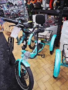 Vélo Tricycle Électrique neuf