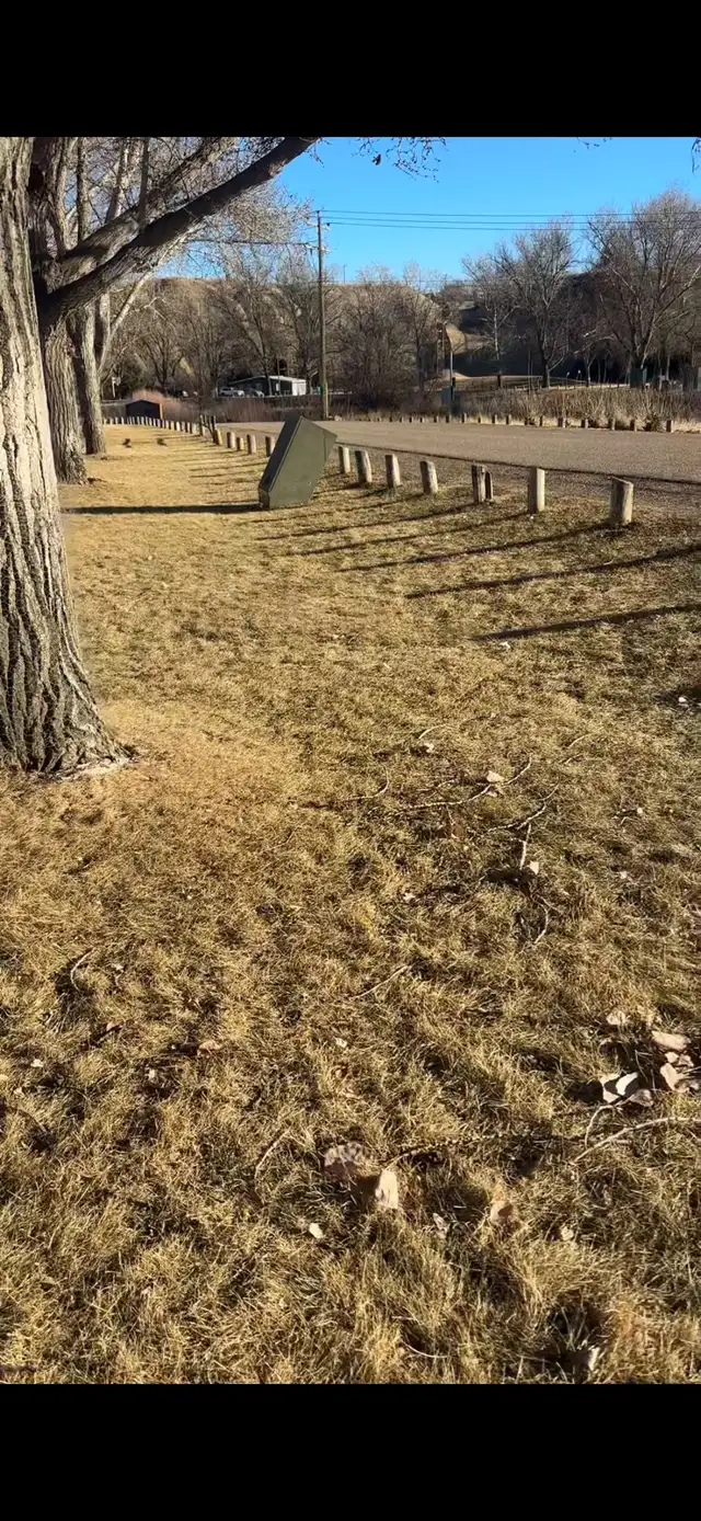 Skilled Worker Looking for Opportunity in Alberta