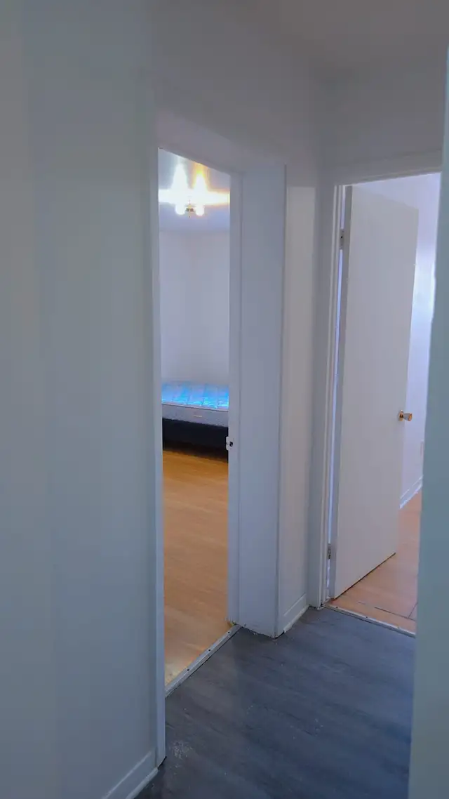 Grand 4 1/2 disponible à Montréal - Photo 4