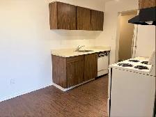 1 bedroom Apartment in Riverdale Richmond for Rent - Photo 4