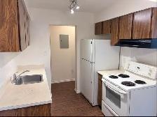 1 bedroom Apartment in Riverdale Richmond for Rent - Photo 5
