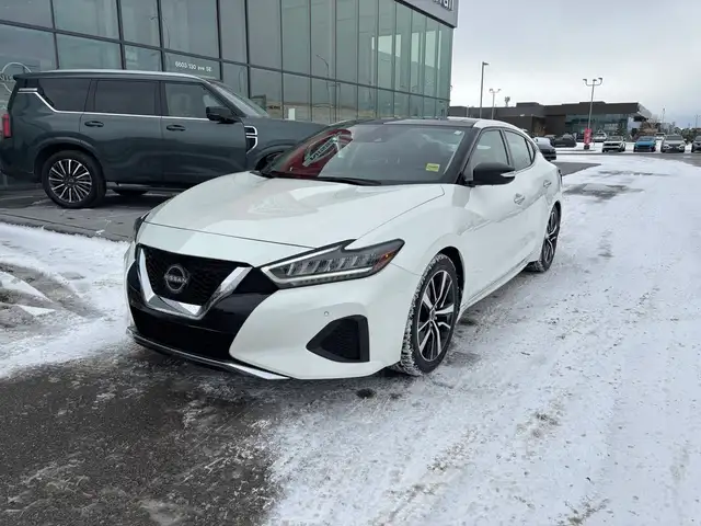 2023 Nissan Maxima SL Sedan • Accident Free CarFax • Pano Roof • - Photo 2