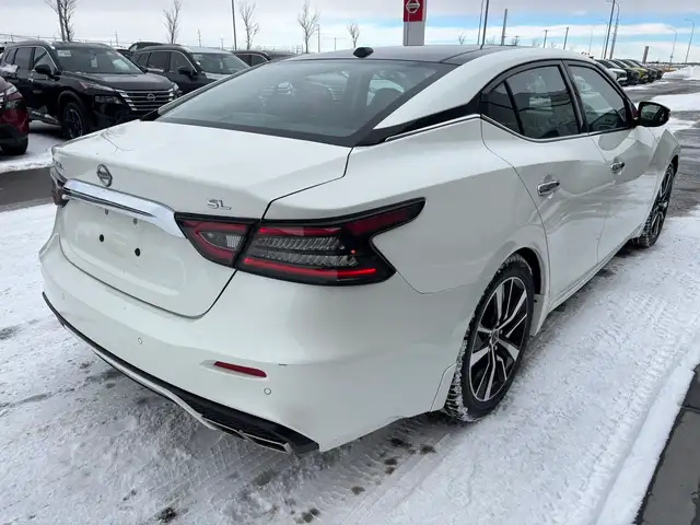 2023 Nissan Maxima SL Sedan • Accident Free CarFax • Pano Roof • - Photo 7