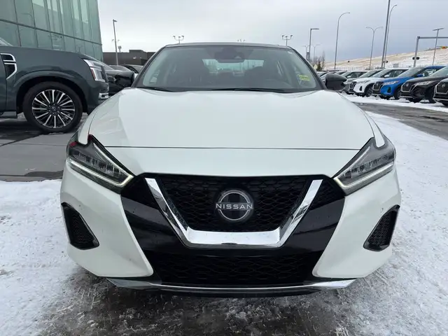 2023 Nissan Maxima SL Sedan • Accident Free CarFax • Pano Roof • - Photo 10
