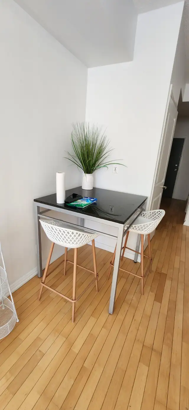 Bachelor Condo at Yonge & Hayden. 35 Hayden st - Photo 3