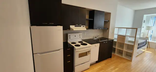 Bachelor Condo at Yonge & Hayden. 35 Hayden st - Photo 4