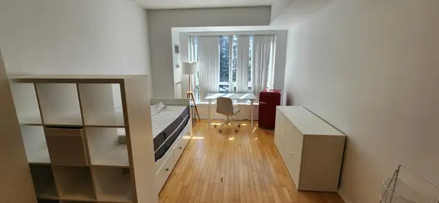 Bachelor Condo at Yonge & Hayden. 35 Hayden st - Photo 5