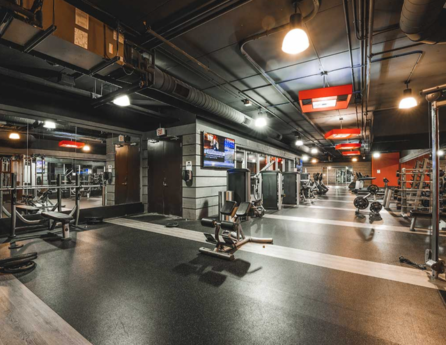 Furnished 3 bed 2 path 1 park at Luxe Condo! - Photo 3