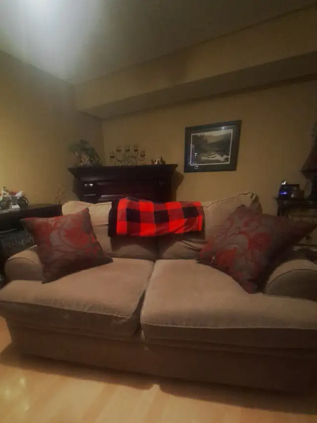 Sofa and Loveseat - Photo 2