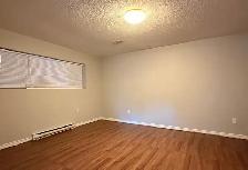 Lower Floor of a Duplex next to Mundy Park for Rent! - Photo 3