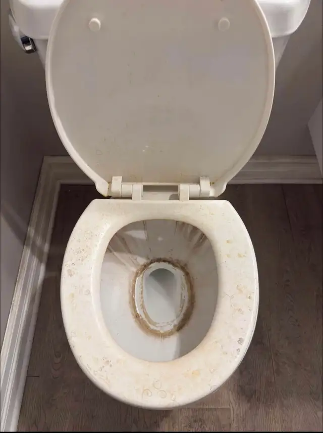 Professional Cleaning Services – Homes, Airbnb & Offices - Photo 6