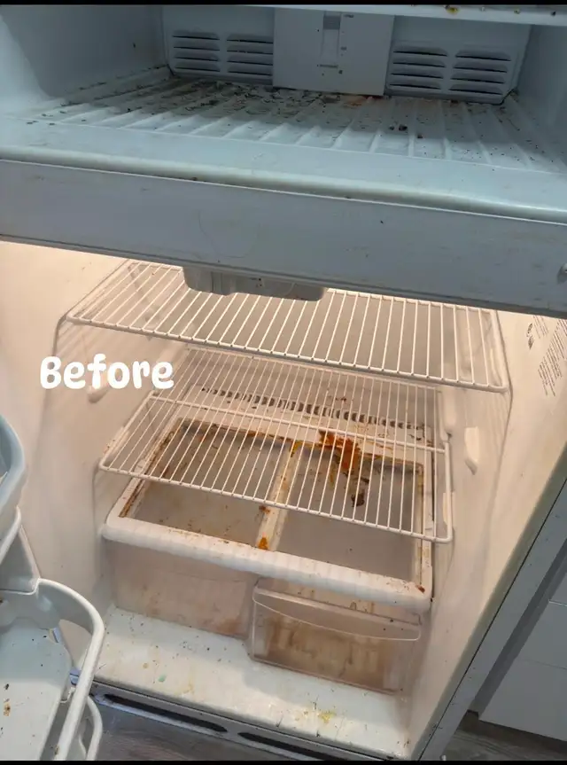 Professional Cleaning Services – Homes, Airbnb & Offices - Photo 8