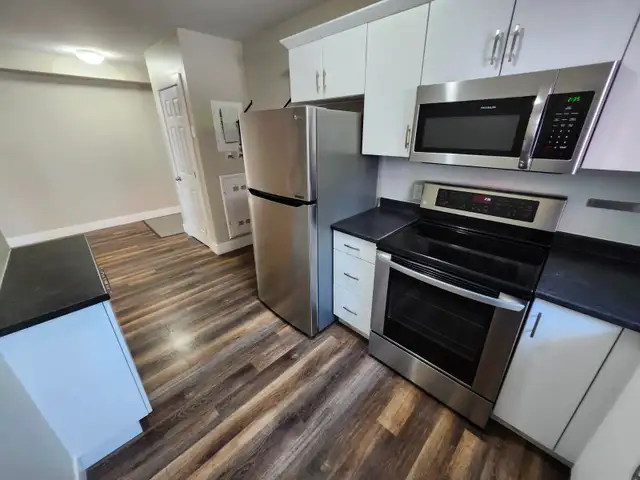 Mitchel Street 2 Bedroom Apartments for Rent! - Photo 10