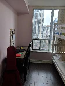 Yonge & Finch- FULLY FURNISHED 2 BEDROOM APARTMENT WITH PARKING - Photo 6