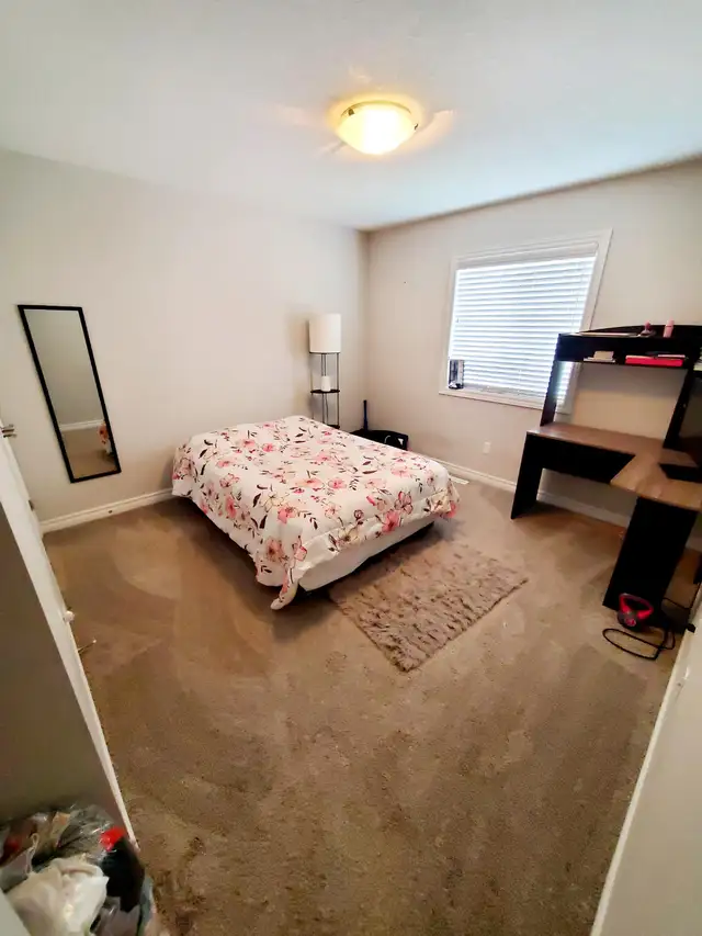 1482 Noah Bend - Photo 8