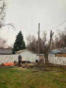 Job Opening - Groundsman