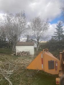 Job Opening - Groundsman - Photo 2