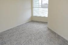 super clean safe quiet two bedroom Maple Ridge - Photo 4