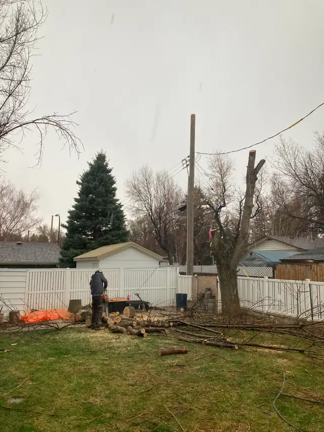 Seasonal Ground Workers