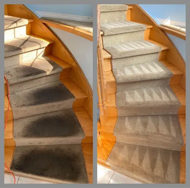 Professional Carpet And Sofa Cleaning In Affordable